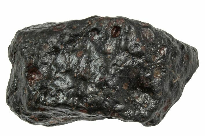Carbonaceous Chondrite Meteorite ( g) - NWA #333047